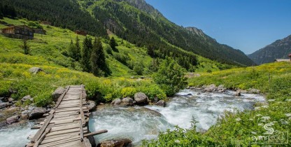 Double Elevit Ayder Turu