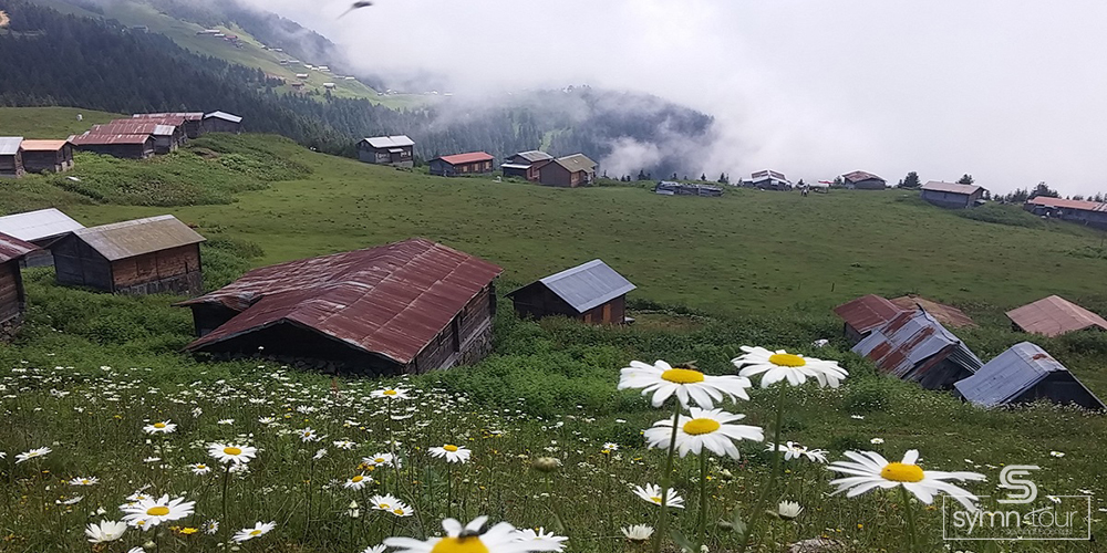 Double Huser Pokut Turu