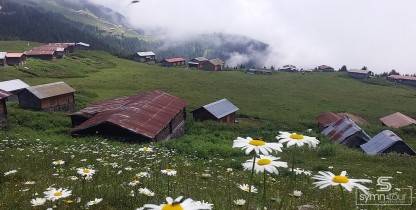 Double Huser Pokut Turu